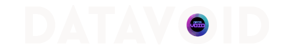 DataVoid Logo
